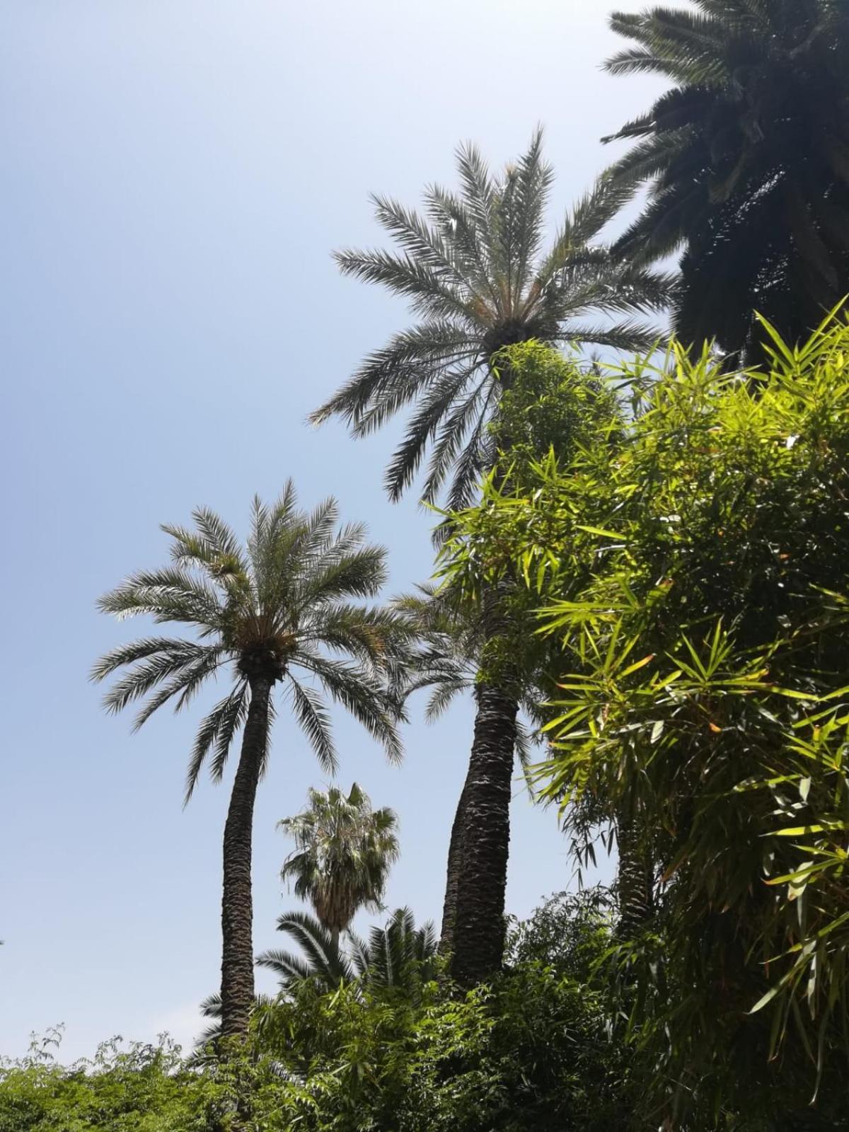Riad Lalla Aicha-Qariya Siyahia Marrakech Марракеш Экстерьер фото